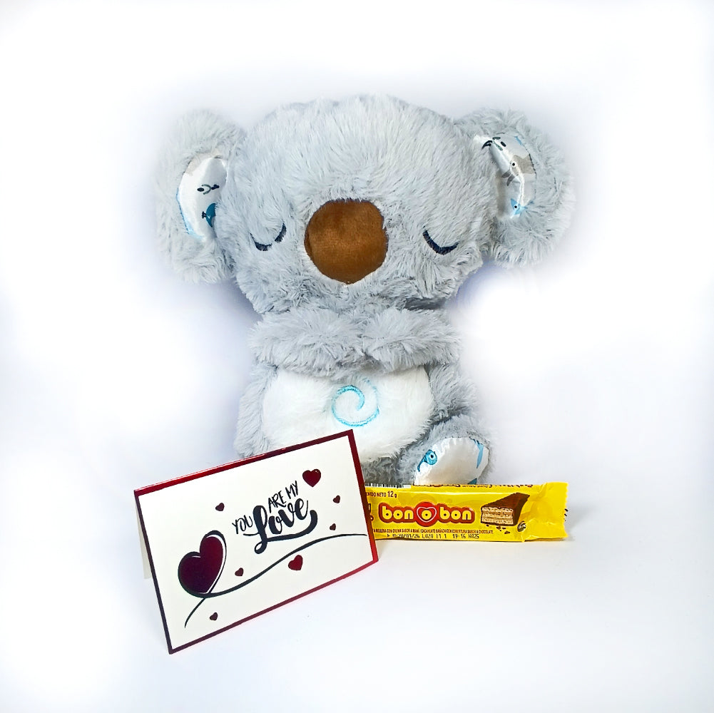 Koala Dormilón - El Compañero Relajante