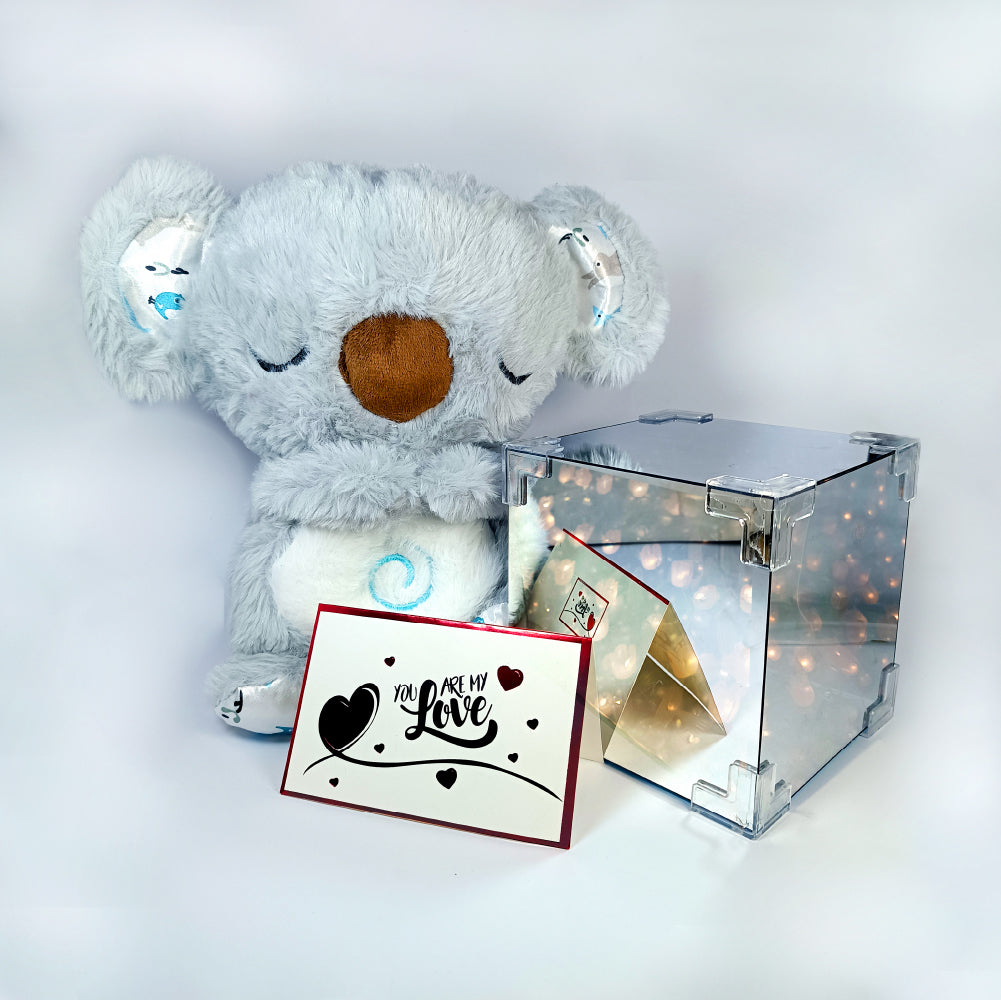 Koala Dormilón - El Compañero Relajante